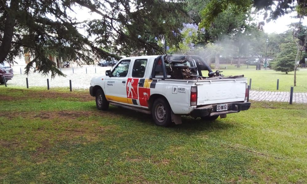 Pergamino lanza una batalla contra los mosquitos