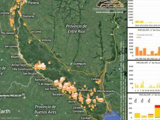 En los ltimos siete das se contabilizaron ms de 2300 focos de incendios en islas del Delta