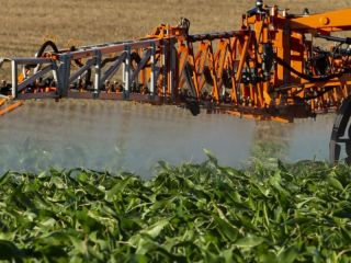 Tras el fallo judicial, productores de Pergamino buscan que se levante la cautelar que limita el uso de fitosanitarios