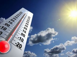 Alerta Amarilla: consejos para evitar los golpes de calor