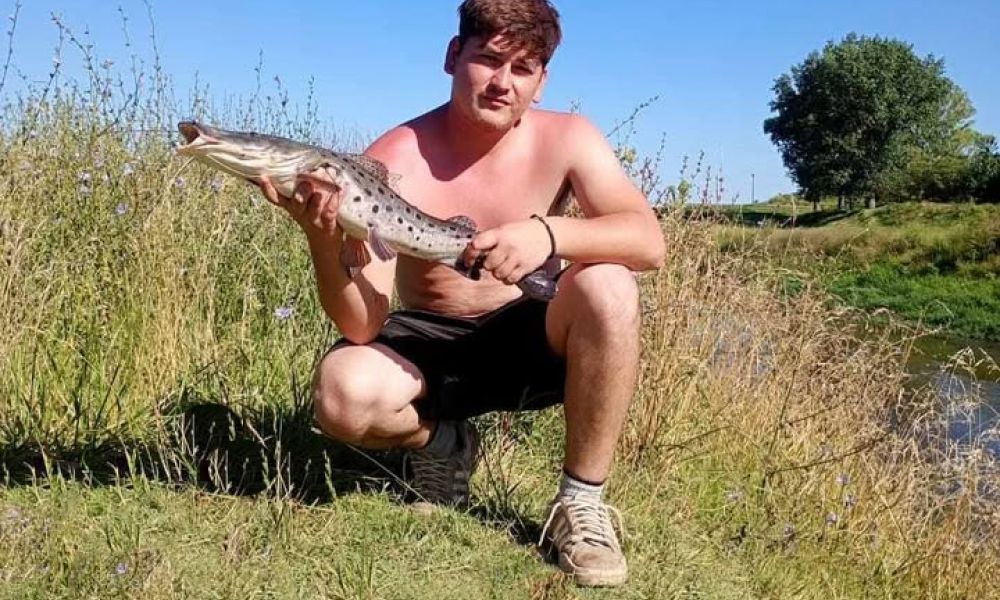 Un surubí sorprendió en el Arroyo Pergamino