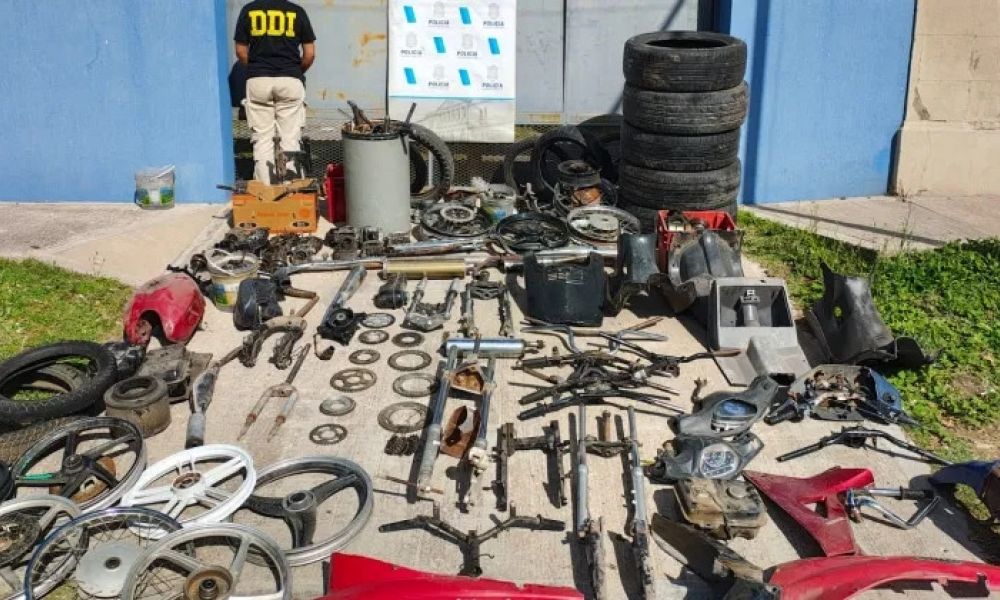 Desmantelan desarmadero clandestino