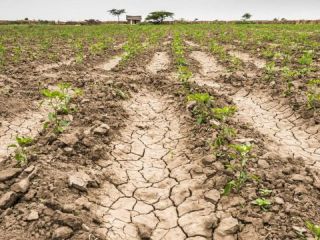 Martnez le pidi a la Provincia que prorrogue la emergencia agropecuaria