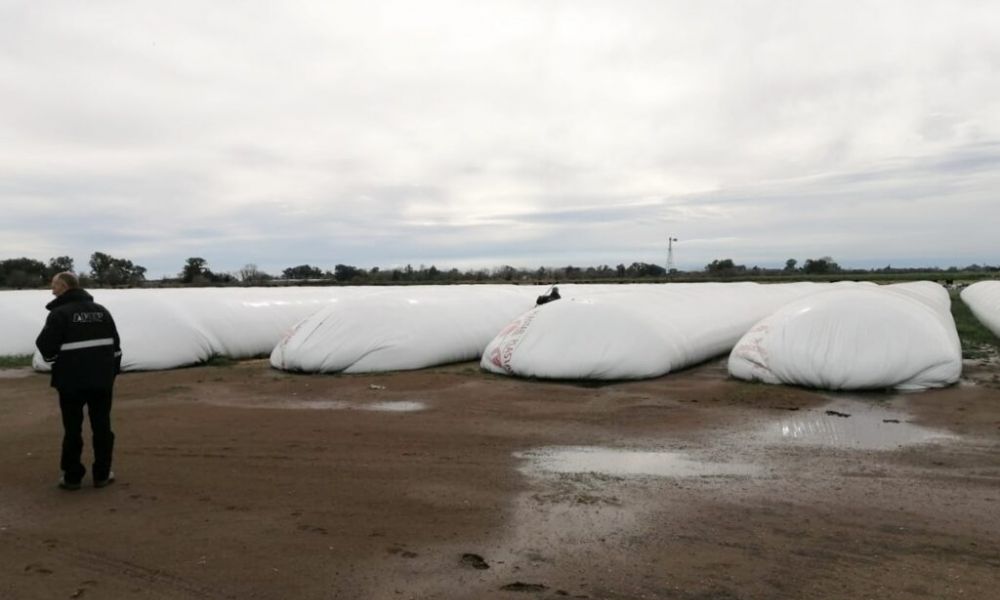 Incautaron más de 7.000 toneladas de granos sin declarar