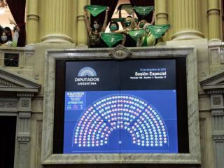 Diputados aprob� por mayor�a la legalizaci�n del aborto