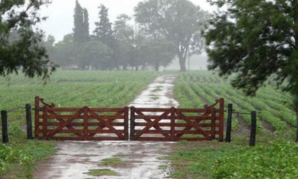 Llegó la lluvia a la Provincia