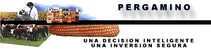 pergabann.gif - 0.0 K